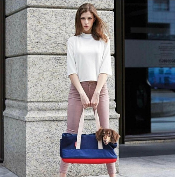 Ibiyaya Breathable Dachshund Carrier-Pet Accessories-Ibiyaya- Silver Circle Pets