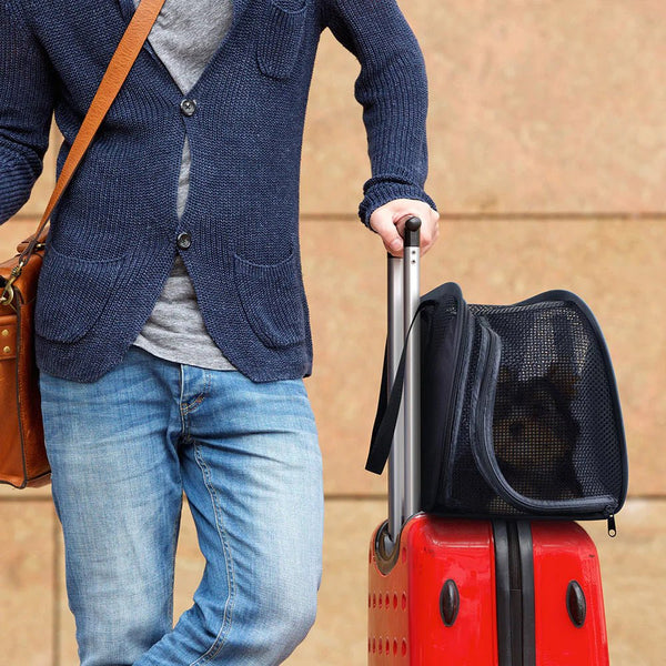 Ibiyaya Flying Pal Foldable Pet Travel Carrier | Airline-Approved-Pet Carrier-Ibiyaya- Silver Circle Pets