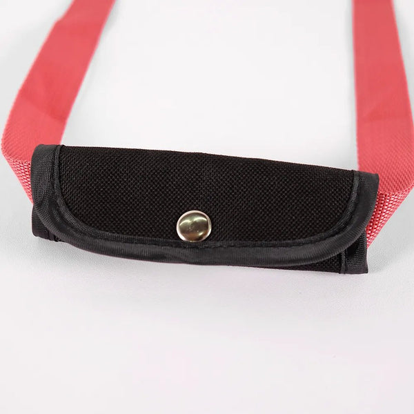 Ibiyaya Flying Pal Foldable Pet Travel Carrier | Airline-Approved-Pet Carrier-Ibiyaya- Silver Circle Pets