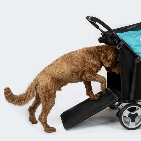 Ibiyaya Grand Cruiser / InnoPet Mamut Portable Dog Ramp & Mud Shield - Ibiyaya- Silver Circle Pets