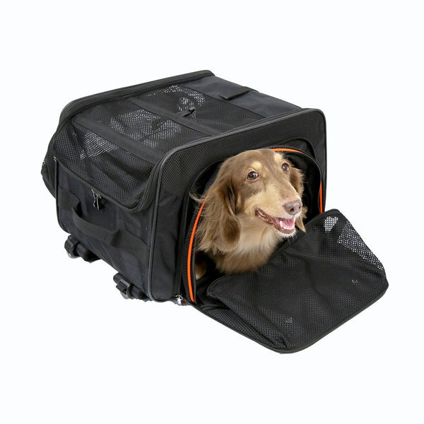 Ibiyaya JetPaw 3-in-1 Pet Stroller/Removable Airline-Approved Carrier | Expandable Rolling Pet Carrier-Backpack-Pet Strollers-Ibiyaya- Silver Circle Pets