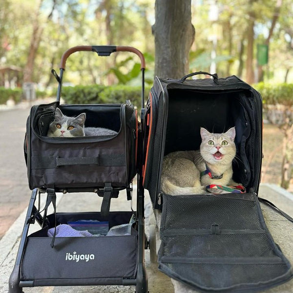 Ibiyaya JetPaw 3-in-1 Pet Stroller/Removable Airline-Approved Carrier | Expandable Rolling Pet Carrier-Backpack-Pet Strollers-Ibiyaya- Silver Circle Pets