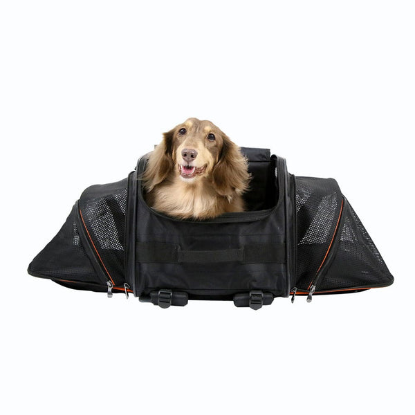 Ibiyaya JetPaw 3-in-1 Pet Stroller/Removable Airline-Approved Carrier | Expandable Rolling Pet Carrier-Backpack-Pet Strollers-Ibiyaya- Silver Circle Pets
