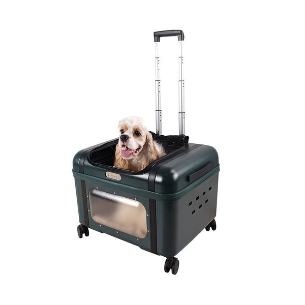Ibiyaya Lavada Wheeled Pet Carrier | Airline-Approved