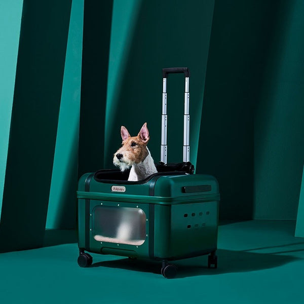 Ibiyaya Lavada Wheeled Pet Carrier | Airline-Approved