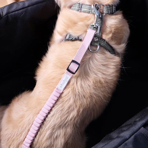Ibiyaya No Shock! Bungee Leash Extension / Pet Stroller Tether-Pet Stroller Replacement Part-Ibiyaya- Silver Circle Pets