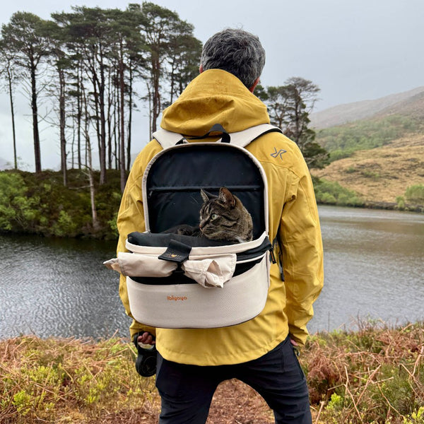 Ibiyaya Panorama Pet Carrier | Airline-Approved-Pet Carrier-Ibiyaya- Silver Circle Pets