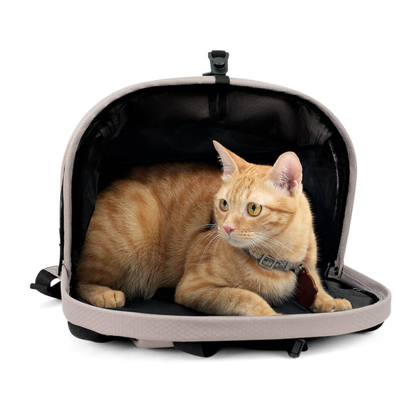 Ibiyaya Panorama Pet Carrier | Airline-Approved-Pet Carrier-Ibiyaya- Silver Circle Pets