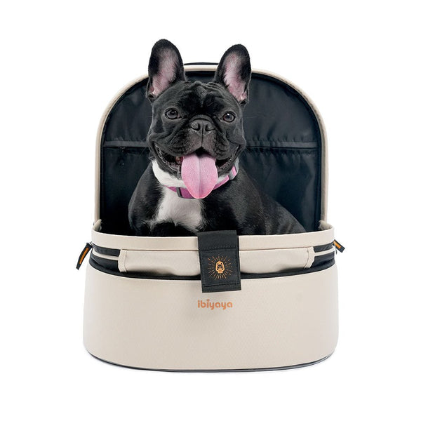 Ibiyaya Panorama Pet Carrier | Airline-Approved-Pet Carrier-Ibiyaya- Silver Circle Pets