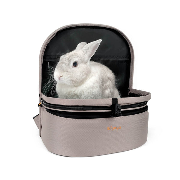 Ibiyaya Panorama Pet Carrier | Airline-Approved-Pet Carrier-Ibiyaya- Silver Circle Pets