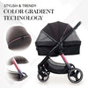 Ibiyaya Retro Luxe Large Pet Stroller-Pet Strollers-Ibiyaya- Silver Circle Pets