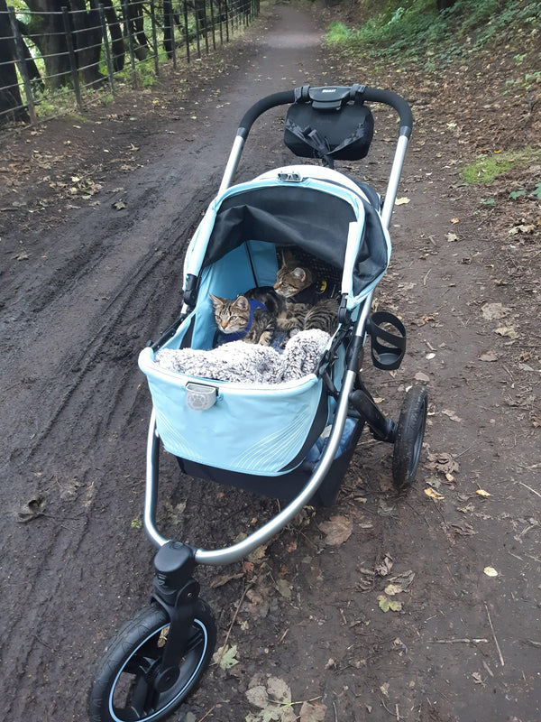 Ibiyaya The Beast Dog Jogging Stroller-Pet Strollers-Ibiyaya- Silver Circle Pets