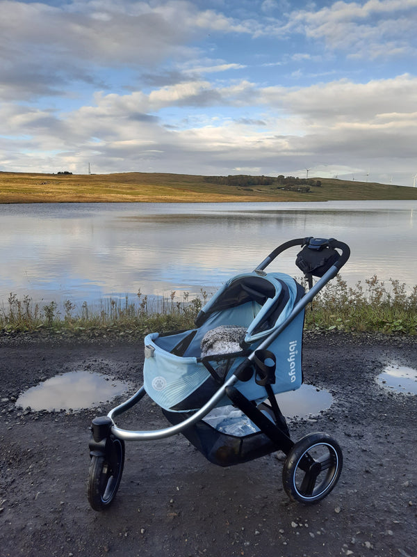 Ibiyaya The Beast Dog Jogging Stroller-Pet Strollers-Ibiyaya- Silver Circle Pets