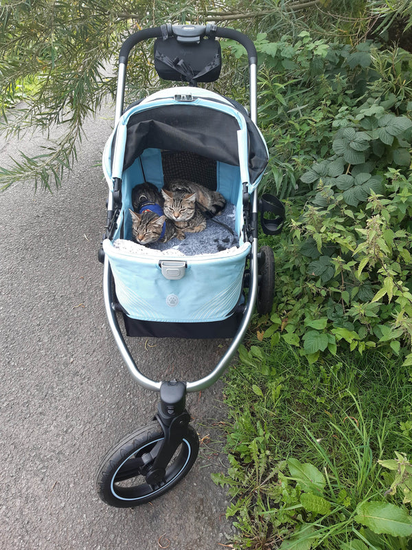 Ibiyaya The Beast Dog Jogging Stroller-Pet Strollers-Ibiyaya- Silver Circle Pets