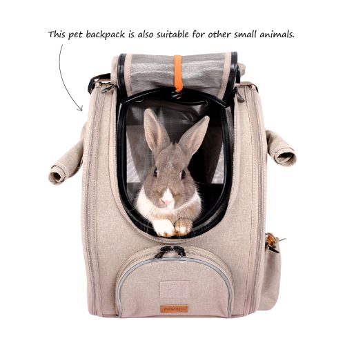Ibiyaya Trackpack For Birds-Pet Accessories-Ibiyaya- Silver Circle Pets