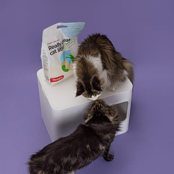 Hoopo Tofu Fine Cat Litter | 7L