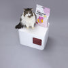 Hoopo Tofu Baby Powder Cat Litter | 7L