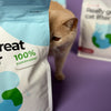 Hoopo Tofu Cat Litter | 7L