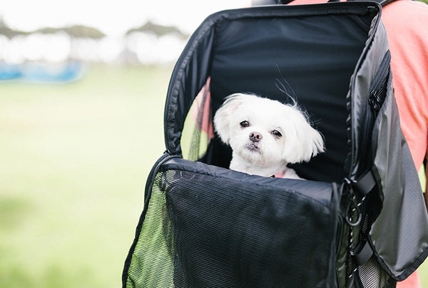 AirBuggy 3-Way Backpack Pet Carrier | Regular & Wide | Backpack, Front & Shoulder