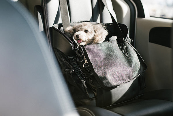 AirBuggy 3-Way Backpack Pet Carrier | Regular & Wide | Backpack, Front & Shoulder