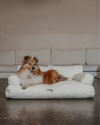 By Teddy The Teddington Sofa Dog Bed | Bouclé