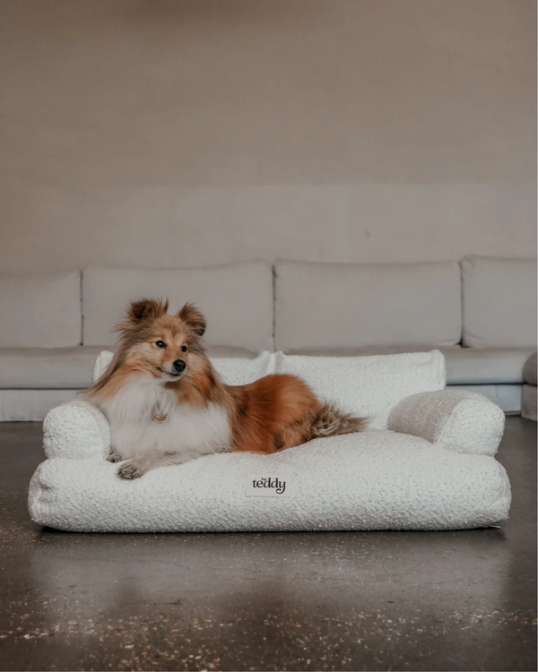 By Teddy The Teddington Sofa Dog Bed | Bouclé