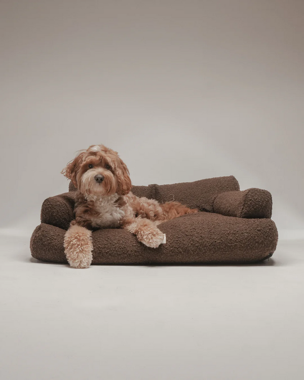 By Teddy The Teddington Sofa Dog Bed | Bouclé