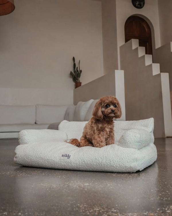 By Teddy The Teddington Sofa Dog Bed | Bouclé
