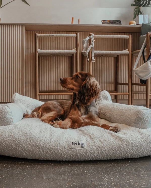 By Teddy The Teddington Sofa Dog Bed | Bouclé