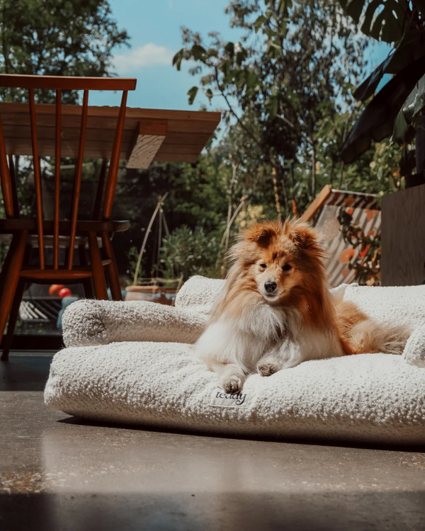 By Teddy The Teddington Sofa Dog Bed | Bouclé