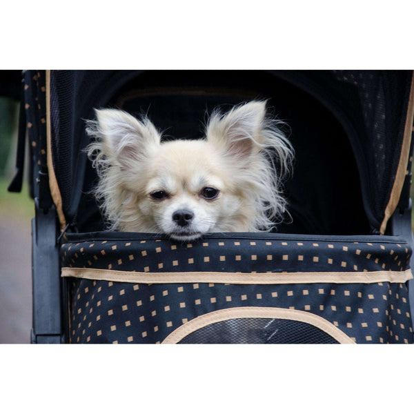 InnoPet Adventure Dog Pram-Pet Strollers-Innopet- Silver Circle Pets