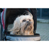 InnoPet Avenue Pet Pram Including Free Rain Cover-Pet Strollers-Innopet- Silver Circle Pets