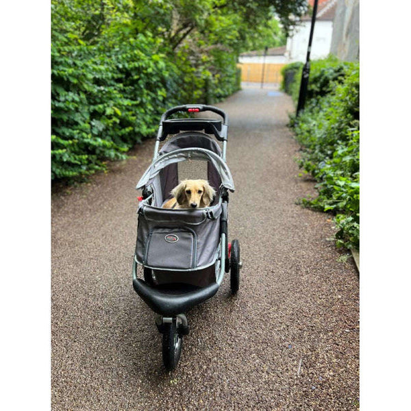 InnoPet Buggy Comfort AIR Eco + Free Organiser-Pet Strollers-Innopet- Silver Circle Pets