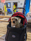 InnoPet Buggy Comfort EFA ECO Dog Pram V2.0 + Free Organiser-Pet Strollers-Innopet- Silver Circle Pets