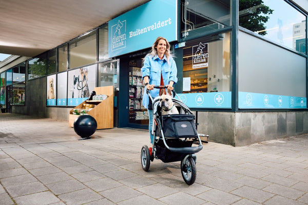 InnoPet Buggy Comfort EFA ECO Dog Pram V2.0 + Free Organiser-Pet Strollers-Innopet- Silver Circle Pets