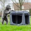 InnoPet Carrier All In One Crate-Pet Accessories-Innopet- Silver Circle Pets