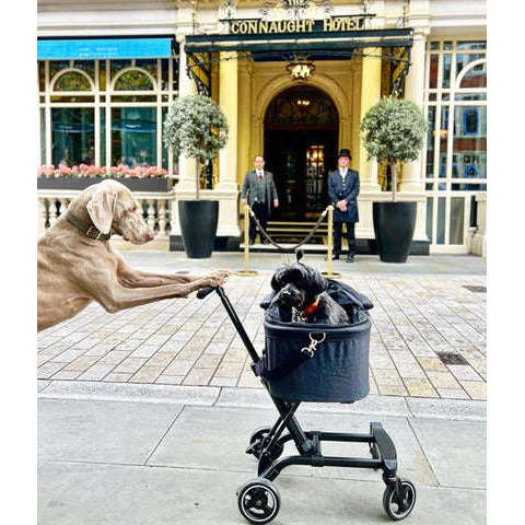 Innopet City Hopper Dog Pram & Travel System-Pet Strollers-Innopet- Silver Circle Pets