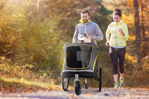 Innopet Hercules 2.0 XL Dog Stroller & Trailer with Free Rain Cover-Pet Strollers-Innopet- Silver Circle Pets