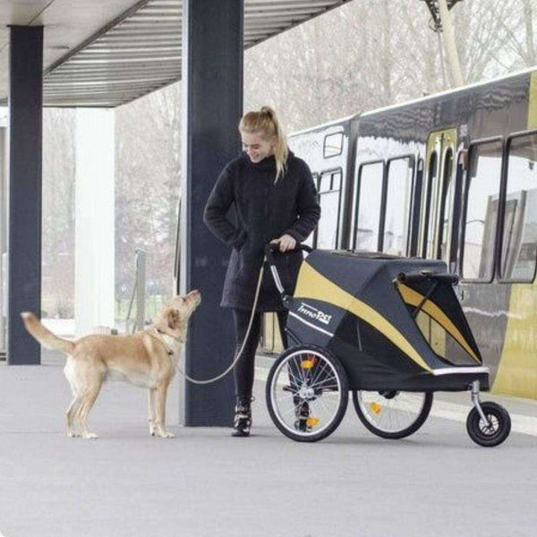 Innopet Hercules 2.0 XL Dog Stroller & Trailer with Free Rain Cover-Pet Strollers-Innopet- Silver Circle Pets