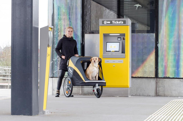 Innopet Hercules 2.0 XL Dog Stroller & Trailer with Free Rain Cover-Pet Strollers-Innopet- Silver Circle Pets