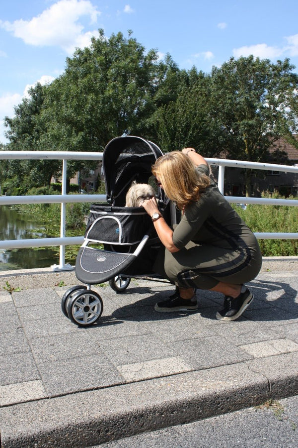 InnoPet Monaco Dog Pram With Free Rain Cover-Dog Stroller-InnoPet- Silver Circle Pets