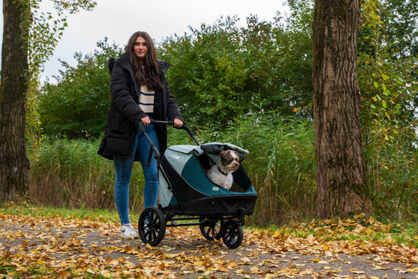 InnoPet Noah Dog Stroller, Bike Trailer & Travel Crate-Pet Strollers-Innopet- Silver Circle Pets