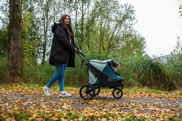InnoPet Noah Dog Stroller, Bike Trailer & Travel Crate-Pet Strollers-Innopet- Silver Circle Pets