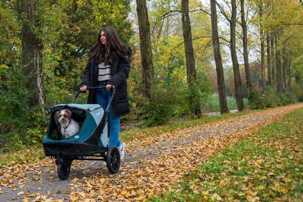 InnoPet Noah Dog Stroller, Bike Trailer & Travel Crate-Pet Strollers-Innopet- Silver Circle Pets