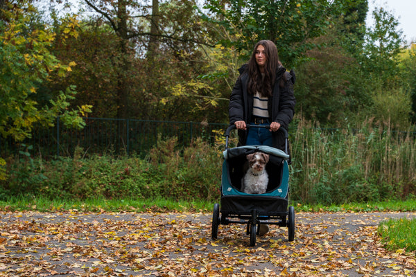 InnoPet Noah Dog Stroller, Bike Trailer & Travel Crate-Pet Strollers-Innopet- Silver Circle Pets