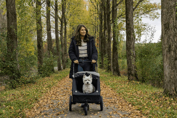 InnoPet Noah Dog Stroller, Bike Trailer & Travel Crate-Pet Strollers-Innopet- Silver Circle Pets