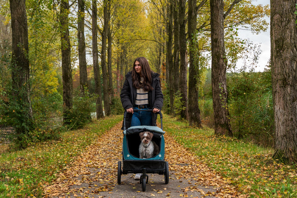 InnoPet Noah Dog Stroller, Bike Trailer & Travel Crate-Pet Strollers-Innopet- Silver Circle Pets