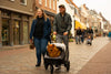 InnoPet Noah Dog Stroller, Bike Trailer & Travel Crate-Pet Strollers-Innopet- Silver Circle Pets