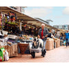 InnoPet Sporty Evolution V2.0 Dog Pram & Dog Bike Trailer with Free Rain Cover-Pet Strollers-Innopet- Silver Circle Pets