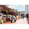 InnoPet Sporty Evolution V2.0 Dog Pram & Dog Bike Trailer with Free Rain Cover-Pet Strollers-Innopet- Silver Circle Pets